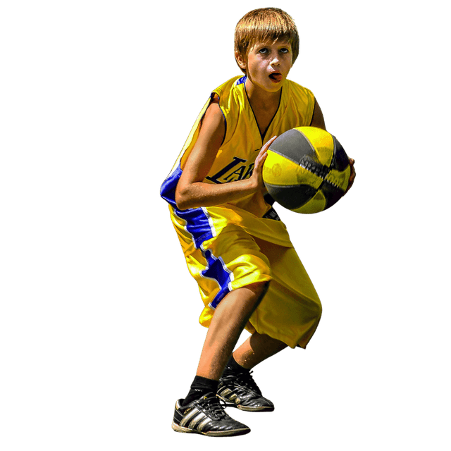 Training/Coaching